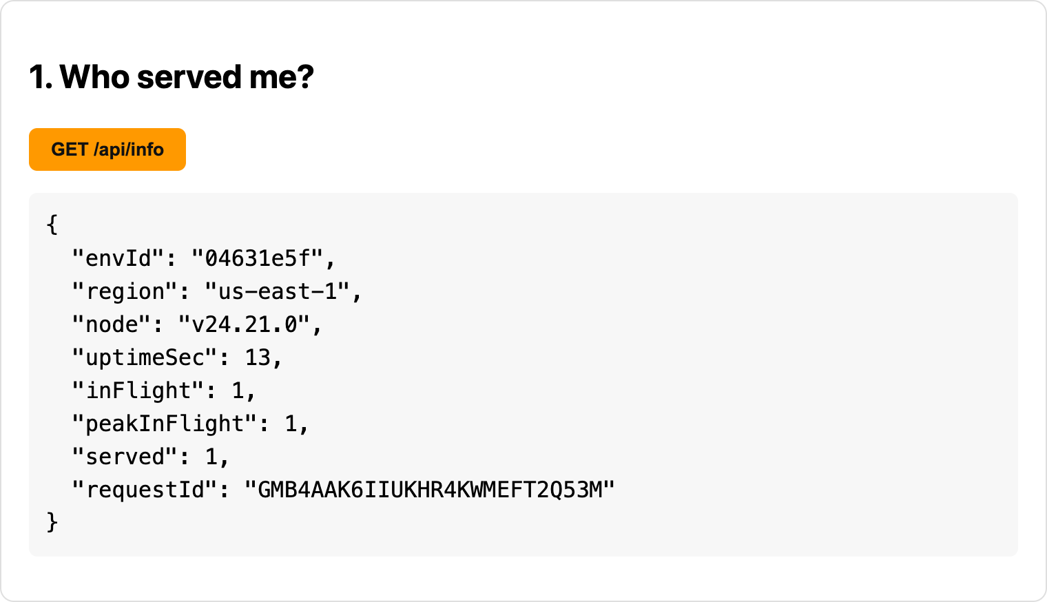GET /api/info response showing envId, region us-east-1, Node v24.21.0, inFlight, peakInFlight, and served counters